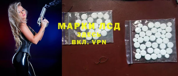 хмурый Абаза