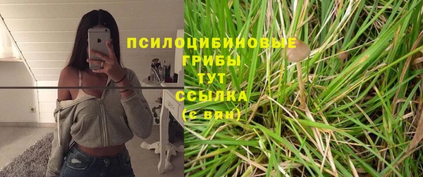 стаф Коряжма