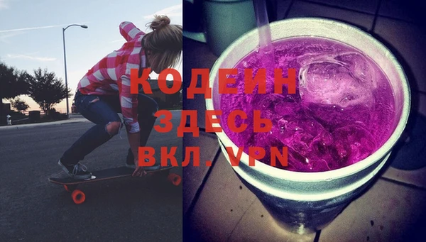 хмурый Абаза