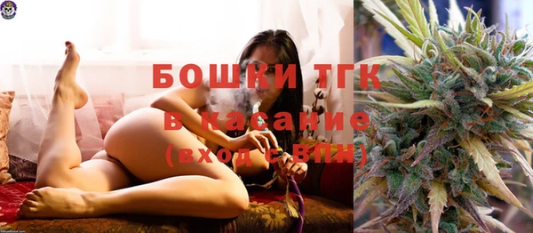 хмурый Абаза