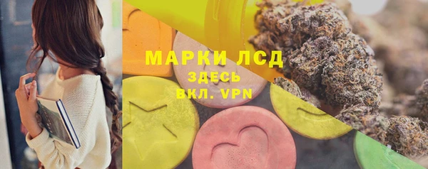 хмурый Абаза